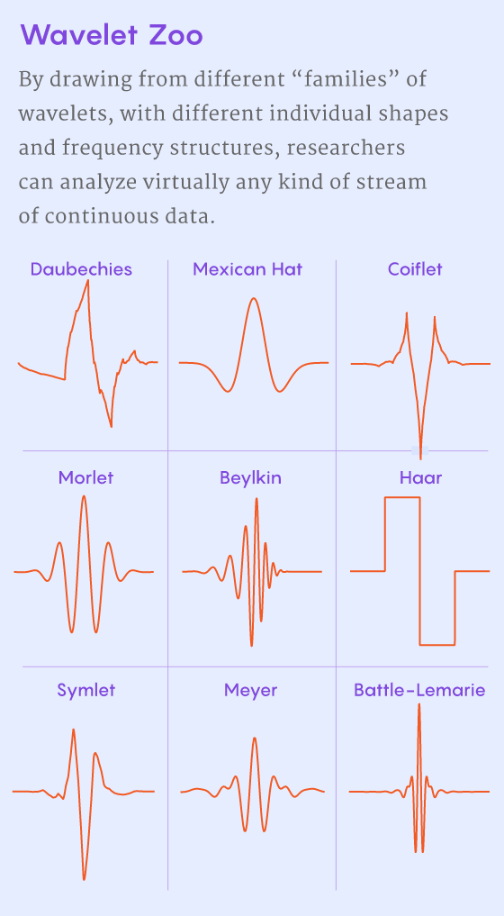 How Wavelets Allow Researchers to Transform, and Understand, Data ...