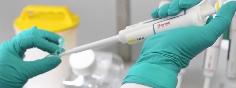 DNA-based bio-batteries make powerful progress in lab tests | External ...
